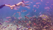 Journée complète de snorkeling sur l'île de Catalina, au départ de Bavaro Journée complète de snorkeling sur l'île de Catalina, au départ de Bavaro