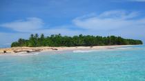 Ganztägige Tour mit dem Schnellboot, Tierwelt und Schnorcheln in Bocas del Toro in Panama Ganztägige Tour mit dem Schnellboot, Tierwelt und Schnorcheln in Bocas del Toro in Panama