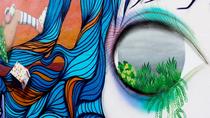Graffiti Tour with Complimentary Drink in Wynwood Graffiti Tour with Complimentary Drink in Wynwood