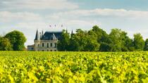 Tagesausflug nach Burgund von Paris mit Weinprobe, Mittagessen und Besuch in Auxerre Tagesausflug nach Burgund von Paris mit Weinprobe, Mittagessen und Besuch in Auxerre