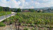 Excursão diurna para grupos pequenos a Epernay: a pitoresca Moet e Chandon e Hautvillers, com&nbsp;...&nbsp;