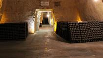 Excursion privée d'une journée complète sur le thème du champagne au départ de Reims Excursion privée d'une journée complète sur le thème du champagne au départ de Reims