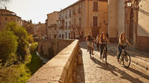 Elektro-Fahrradtour in kleiner Gruppe durch Granada Elektro-Fahrradtour in kleiner Gruppe durch Granada