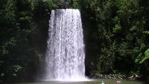 Excursion d'une journée aux cascades du plateau d'Atherton au départ de Cairns Excursion d'une journée aux cascades du plateau d'Atherton au départ de Cairns