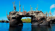 Excursion de 6 jours à terre aux Galápagos : programme Los Tuneles Excursion de 6 jours à terre aux Galápagos : programme Los Tuneles