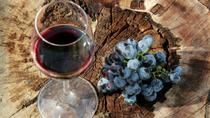 Excursão Napa Valley, São Francisco