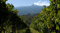 L'Etna et circuit des vins au départ de Catane L'Etna et circuit des vins au départ de Catane