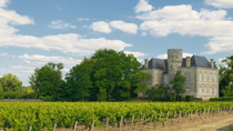 Excursion en bord de mer à Bordeaux : excursion privée d'une journée complète avec dégustation de vins dans le Médoc Excursion en bord de mer à Bordeaux : excursion privée d'une journée complète avec dégustation de vins dans le Médoc