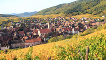 Route des vins d'Alsace : visite-dégustation au départ de Strasbourg Route des vins d'Alsace : visite-dégustation au départ de Strasbourg