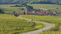 Route des vins d'Alsace : visite-dégustation d'une demi-journée au départ de Strasbourg Route des vins d'Alsace : visite-dégustation d'une demi-journée au départ de Strasbourg