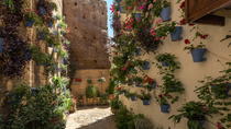 Cordoba Culture Heritage Patios Tour Cordoba Culture Heritage Patios Tour