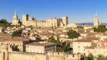 Dagtrip Avignon en Provence vanuit Parijs met de TGV Dagtrip Avignon en Provence vanuit Parijs met de TGV