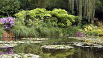 Dagtrip met kleine groep naar Auvers-sur-Oise en Giverny vanuit Parijs Dagtrip met kleine groep naar Auvers-sur-Oise en Giverny vanuit Parijs