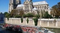 Excursão pela cidade de Paris em minivan, cruzeiro pelo Rio Sena e almoço na Torre Eiffel Excursão pela cidade de Paris em minivan, cruzeiro pelo Rio Sena e almoço na Torre Eiffel