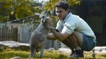Billete de entrada estándar al Zoo de Taronga de Sídney y Australia Salvaje Billete de entrada estándar al Zoo de Taronga de Sídney y Australia Salvaje