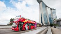Recorrido turístico en autobús con paradas libres por la ciudad de Singapur Recorrido turístico en autobús con paradas libres por la ciudad de Singapur