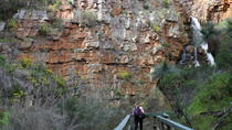 Bushwandeling met een kleine groep inclusief wijntour naar Sinclair's Gully Winery vanuit Adelaide inclusief lunch Bushwandeling met een kleine groep inclusief wijntour naar Sinclair's Gully Winery vanuit Adelaide inclusief lunch