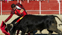 Excursão turística em Madrid e Tourada na praça de touro de Las Ventas Excursão turística em Madrid e Tourada na praça de touro de Las Ventas