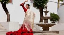 Offre spéciale Madrid : visite en soirée à la découverte des illuminations de Madrid et spectacle de Flamenco à Torres Bermejas Offre spéciale Madrid : visite en soirée à la découverte des illuminations de Madrid et spectacle de Flamenco à Torres Bermejas