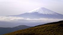 2-daagse tour naar Mount Fuji en Kyoto per Bullet Train vanuit Tokio 2-daagse tour naar Mount Fuji en Kyoto per Bullet Train vanuit Tokio