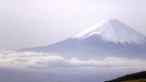 Excursión de 2 días al Monte Fuji y Kioto en tren bala desde Tokio Excursión de 2 días al Monte Fuji y Kioto en tren bala desde Tokio