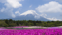 Gita di una giornata al Monte Fuji con tour a piedi tra le zone patrimonio dell'UNESCO con partenza da Tokyo Gita di una giornata al Monte Fuji con tour a piedi tra le zone patrimonio dell'UNESCO con partenza da Tokyo