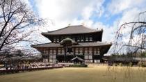 Heldags sightseeingtur i Kyoto og Nara, inkludert besøk i Nijo-slottet Heldags sightseeingtur i Kyoto og Nara, inkludert besøk i Nijo-slottet