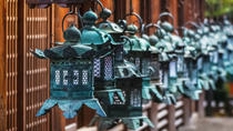 Visita por la tarde a Nara, al templo Todaiji, al Parque de Ciervos, el Santuario de Kasuga, desde Osaka Visita por la tarde a Nara, al templo Todaiji, al Parque de Ciervos, el Santuario de Kasuga, desde Osaka