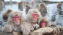 地獄谷野猿公苑、温泉、善光寺を巡る長野の旅 地獄谷野猿公苑、温泉、善光寺を巡る長野の旅