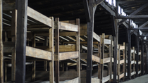 Excursión de medio día al Museo de Auschwitz-Birkenau desde Cracovia Excursión de medio día al Museo de Auschwitz-Birkenau desde Cracovia