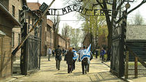 Excursion au mémorial et au musée d'Auschwitz-Birkenau au départ de Cracovie : visite l’après-midi Excursion au mémorial et au musée d'Auschwitz-Birkenau au départ de Cracovie : visite l’après-midi