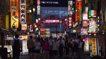 Höhepunkten am Abend in Shinjuku – Speisen- und Getränke-Führung Höhepunkten am Abend in Shinjuku – Speisen- und Getränke-Führung