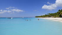 Tagesausflug von Punta Cana: Insel Saona mit dem Schnellboot und Katamaran Tagesausflug von Punta Cana: Insel Saona mit dem Schnellboot und Katamaran