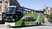 Excursión en autobús con paradas libres y barco por Copenhague Excursión en autobús con paradas libres y barco por Copenhague