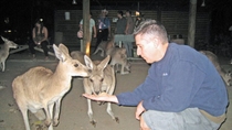 Safari en Cairns Night Zoo y cena de barbacoa Safari en Cairns Night Zoo y cena de barbacoa