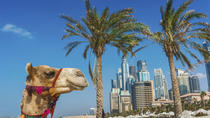 Dubai supertilbud: City sightseeingtur og ørkensafari Dubai supertilbud: City sightseeingtur og ørkensafari