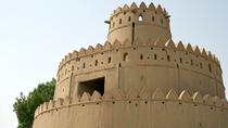 Privat tur: Byrundvisning i Al-Ain med transport fra Dubai Privat tur: Byrundvisning i Al-Ain med transport fra Dubai