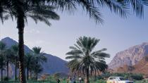 Tour naar Hatta Heritage Village en de woestijn in VAE per 4x4 vanuit Dubai Tour naar Hatta Heritage Village en de woestijn in VAE per 4x4 vanuit Dubai