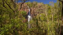 Dagtour naar Litchfield National Park vanuit Darwin Dagtour naar Litchfield National Park vanuit Darwin
