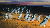Phillip Island Tour vanuit Melbourne Phillip Island Tour vanuit Melbourne