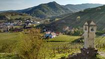 2-stündige einfache Wanderung in kleiner Gruppe am Buchenberg im Wachautal ab Wien 2-stündige einfache Wanderung in kleiner Gruppe am Buchenberg im Wachautal ab Wien