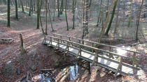 2-stündige Wanderung in kleiner Gruppe durch die Hagenbachklamm ab Wien 2-stündige Wanderung in kleiner Gruppe durch die Hagenbachklamm ab Wien