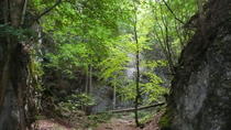 3-stündige Wanderung in kleiner Gruppe durch wilde und romantische Schluchten an der Hohen Wand ab Wien 3-stündige Wanderung in kleiner Gruppe durch wilde und romantische Schluchten an der Hohen Wand ab Wien