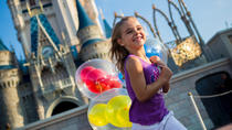 Entrada de 1 dia para o parque temático da Disney World com transporte partindo de Miami, Miami