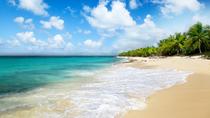 Viagem diurna em Punta Cana: ilha Catalina e Altos de Chavon Viagem diurna em Punta Cana: ilha Catalina e Altos de Chavon