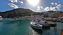 Excursion privée d'une journée complète à Capri et Pompéi au départ de Sorrente ou Naples Excursion privée d'une journée complète à Capri et Pompéi au départ de Sorrente ou Naples