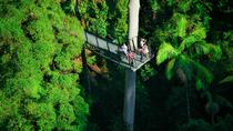 ゴールド コースト発スカイウォークを含むタンボリン山日帰り旅行 ゴールド コースト発スカイウォークを含むタンボリン山日帰り旅行