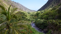 Excursión de un día a Maui: Haleakala, Valle Iao, Old Lahaina desde Oahu Excursión de un día a Maui: Haleakala, Valle Iao, Old Lahaina desde Oahu