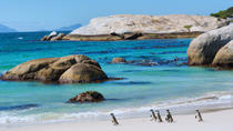 Marine Big 5-eventyr fra Cape Town Marine Big 5-eventyr fra Cape Town