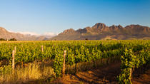 Stellenbosch Wijntour vanuit Kaapstad Stellenbosch Wijntour vanuit Kaapstad